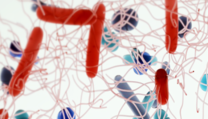 Watch Video: Learn More About The C. Difficile Mechanism Of Disease